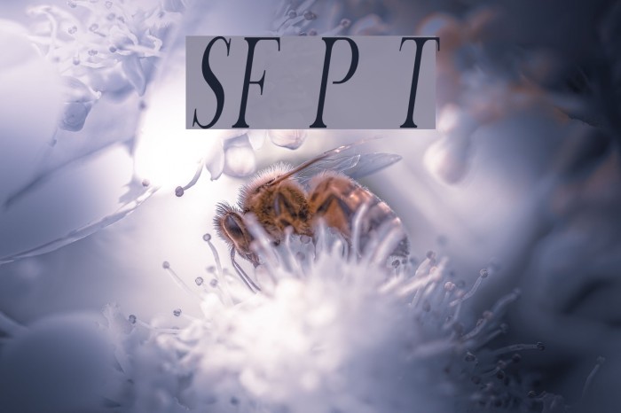 SF Phosphorus Trichloride Font examples