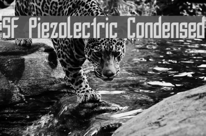 SF Piezolectric Condensed Font examples