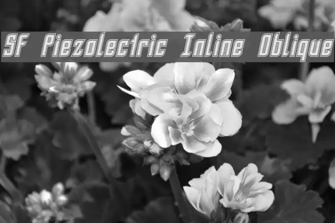 SF Piezolectric Inline Oblique フォント examples