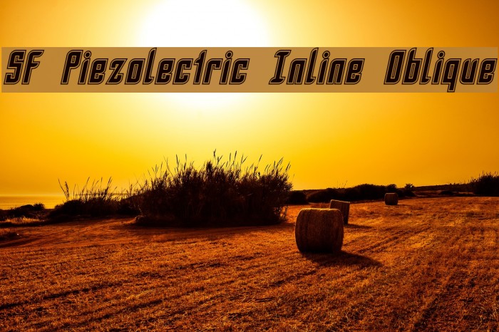 SF Piezolectric Inline Oblique フォント examples