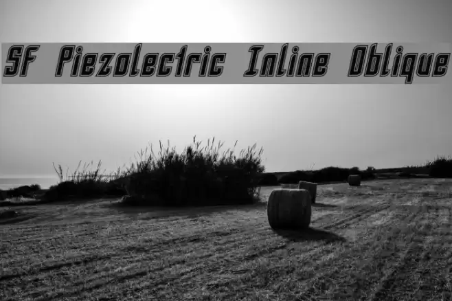 SF Piezolectric Inline Oblique フォント examples