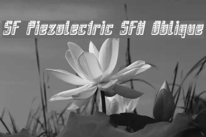 SF Piezolectric SFX Oblique Fonte examples