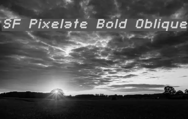 SF Pixelate Bold Oblique Font examples
