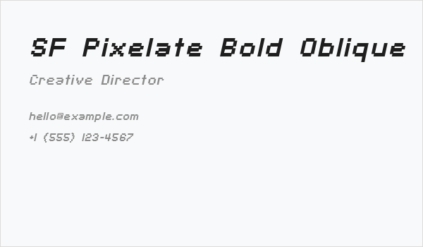 SF Pixelate Bold Oblique Business Card