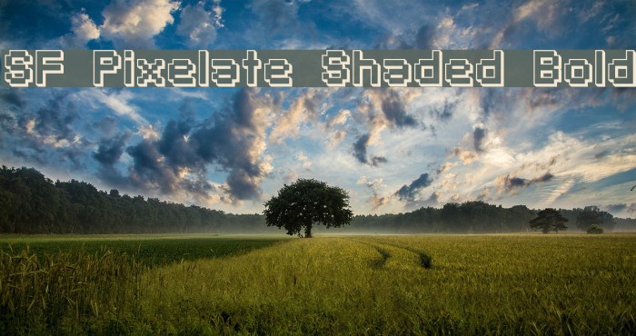 SF Pixelate Shaded Bold フォント examples