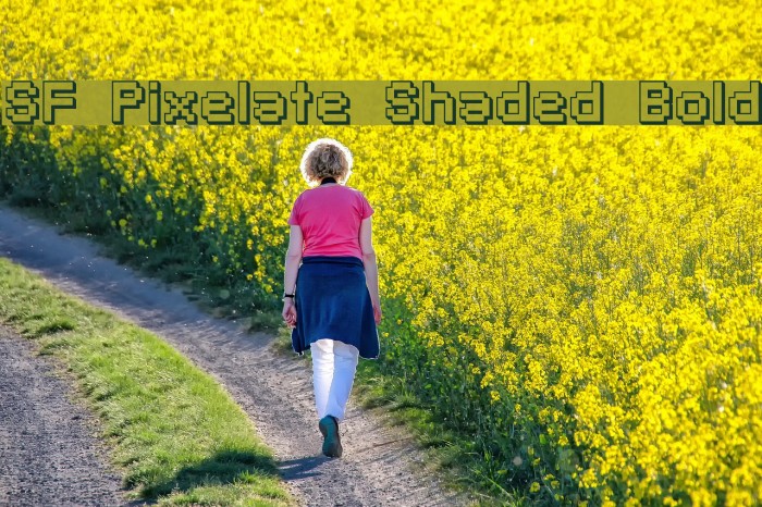 SF Pixelate Shaded Bold フォント examples