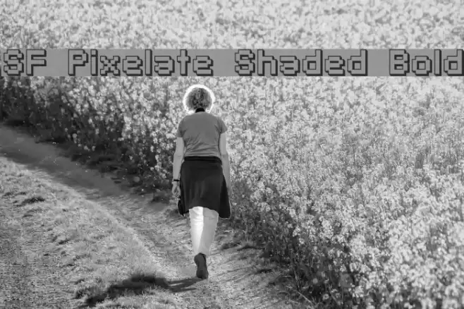 SF Pixelate Shaded Bold フォント examples