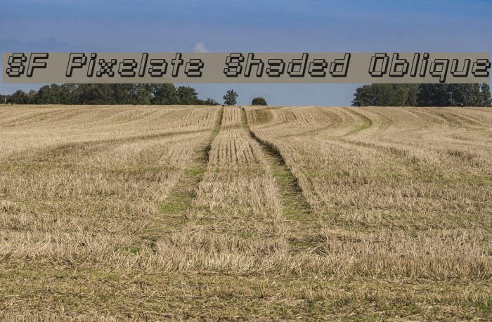 SF Pixelate Shaded Oblique Font examples
