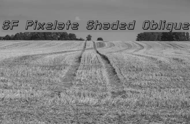 SF Pixelate Shaded Oblique Caratteri examples