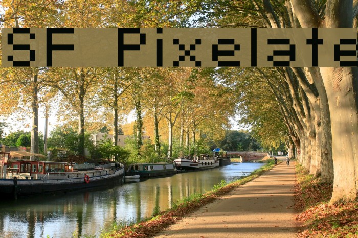 SF Pixelate Font examples