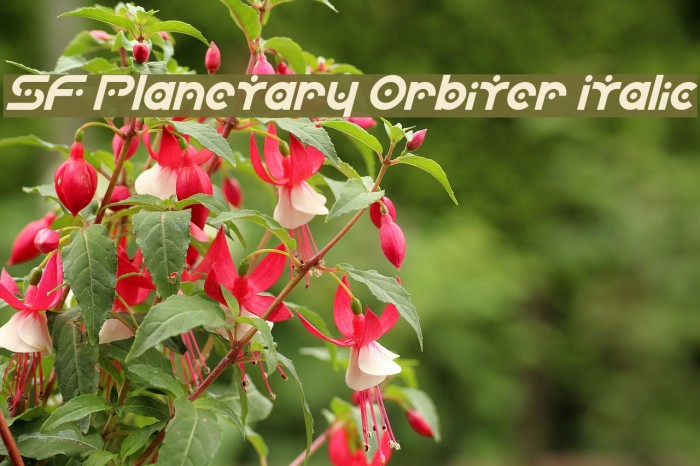 SF Planetary Orbiter Italic Font examples