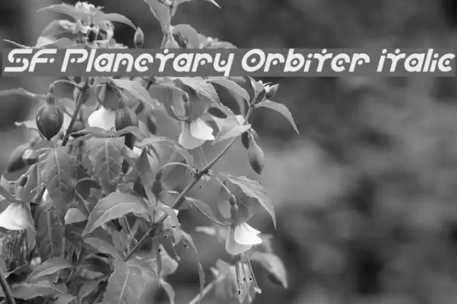 SF Planetary Orbiter Italic Schriftart examples