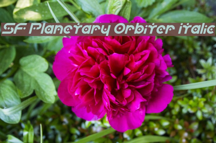 SF Planetary Orbiter Italic Font examples