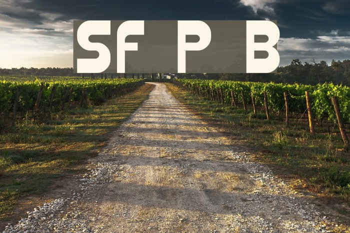 SF Plasmatica Bold Font examples