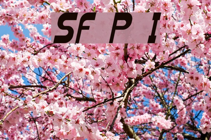 SF Plasmatica Italic Font examples