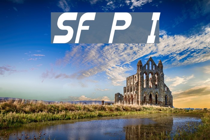 SF Plasmatica Italic Font examples