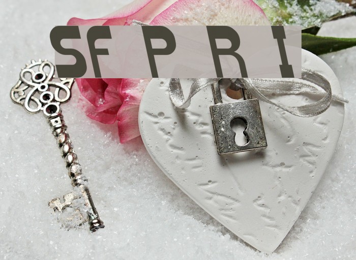 SF Plasmatica Rev Italic Example 3