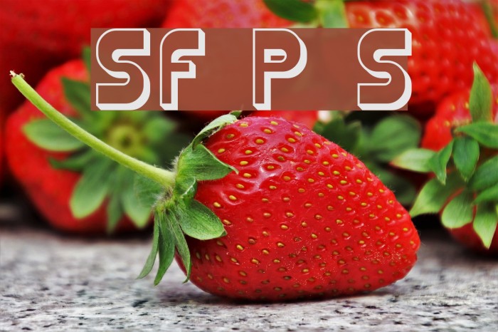 SF Plasmatica Shaded Example 3