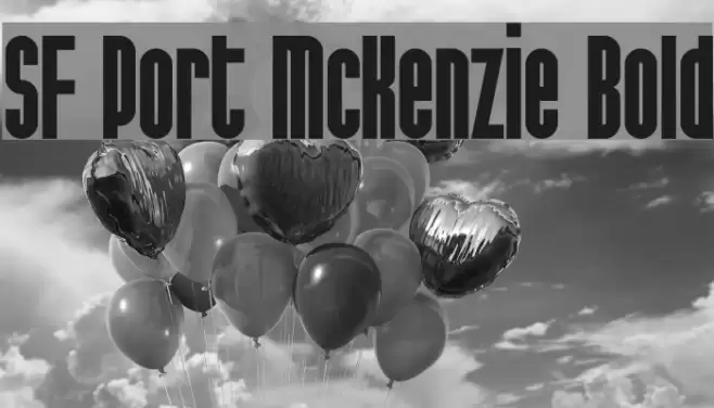 SF Port McKenzie Bold Font examples