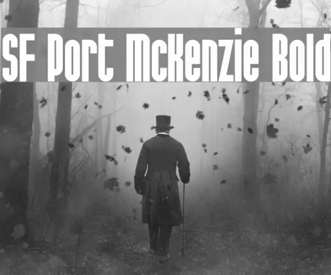 SF Port McKenzie Bold Font examples