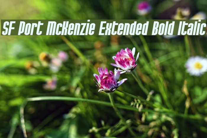 SF Port McKenzie Extended Bold Italic Fuentes examples