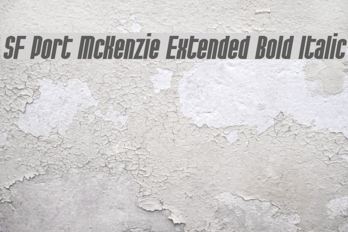 SF Port McKenzie Extended Bold Italic Fuentes examples