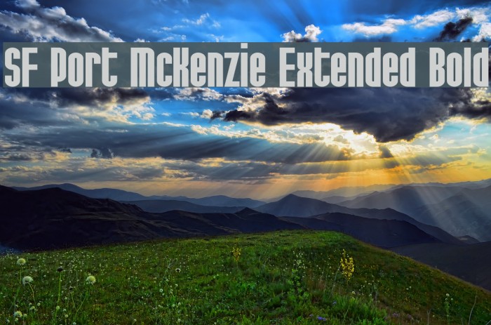 SF Port McKenzie Extended Bold Font examples