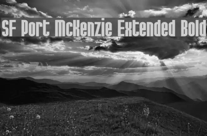 SF Port McKenzie Extended Bold Шрифта examples