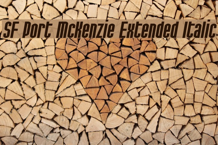 SF Port McKenzie Extended Italic Font examples