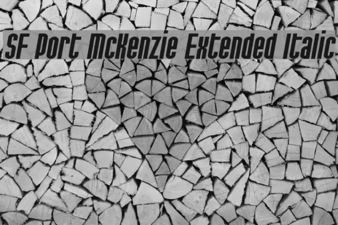 SF Port McKenzie Extended Italic フォント examples