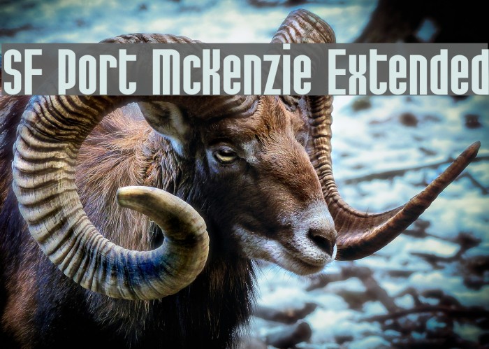 SF Port McKenzie Extended フォント examples