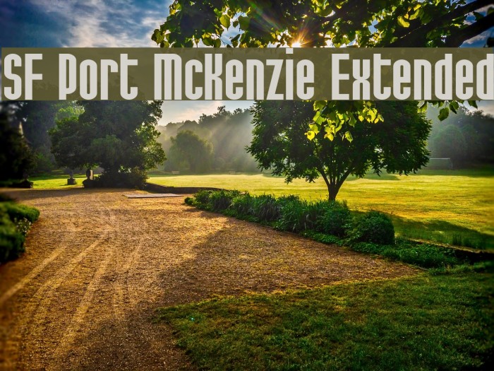 SF Port McKenzie Extended フォント examples