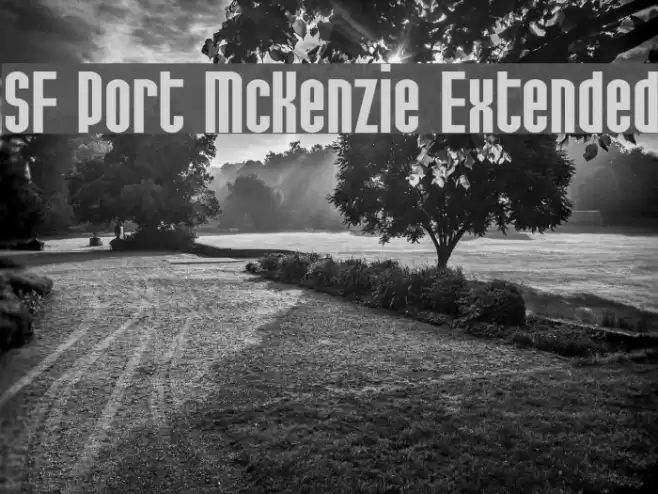 SF Port McKenzie Extended フォント examples