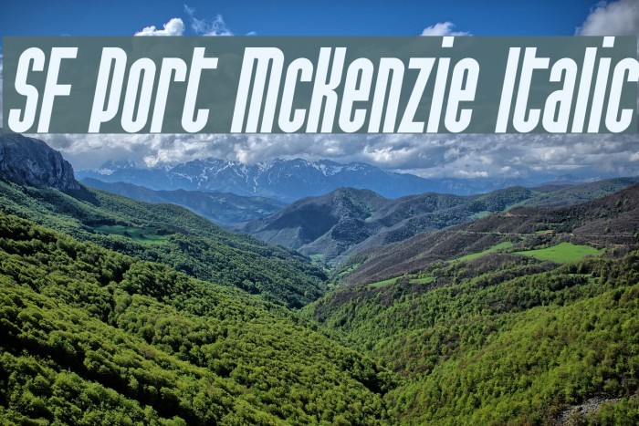 SF Port McKenzie Italic Font examples