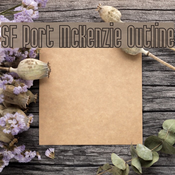SF Port McKenzie Outline Font examples