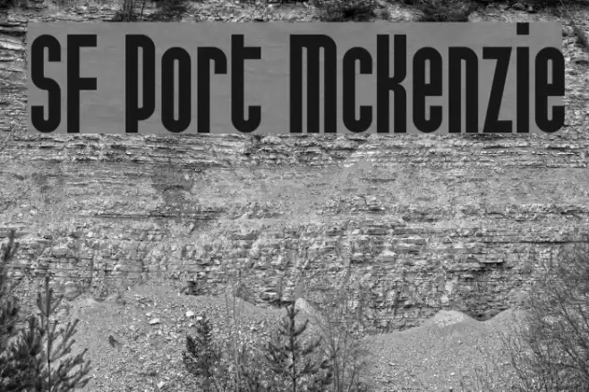 SF Port McKenzie Font examples