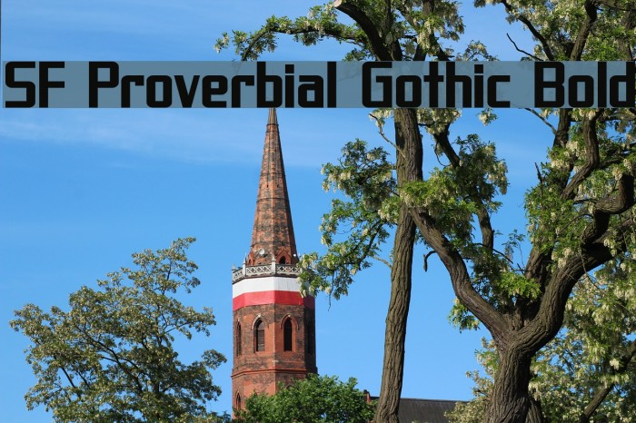 SF Proverbial Gothic Bold Font examples