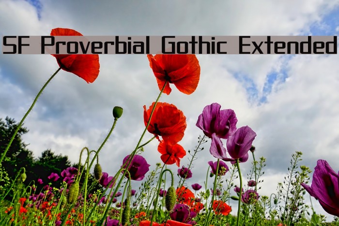 SF Proverbial Gothic Extended Font examples