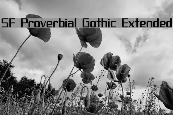 SF Proverbial Gothic Extended फ़ॉन्ट examples