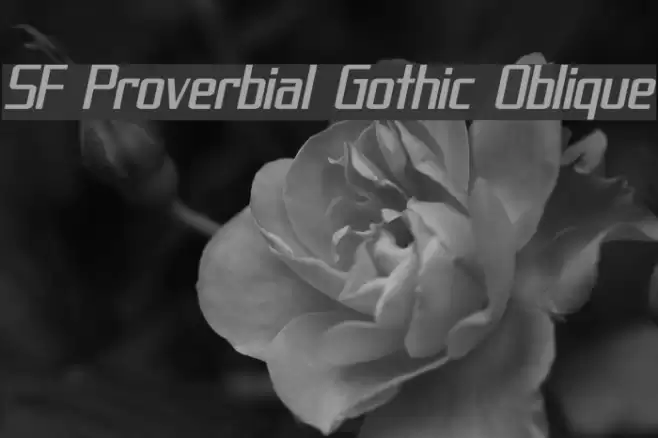 SF Proverbial Gothic Oblique フォント examples