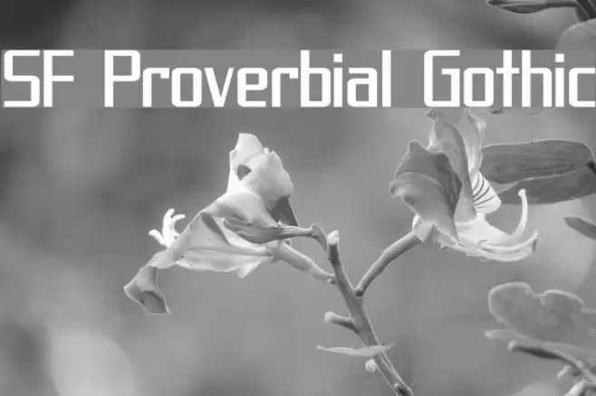 SF Proverbial Gothic フォント examples