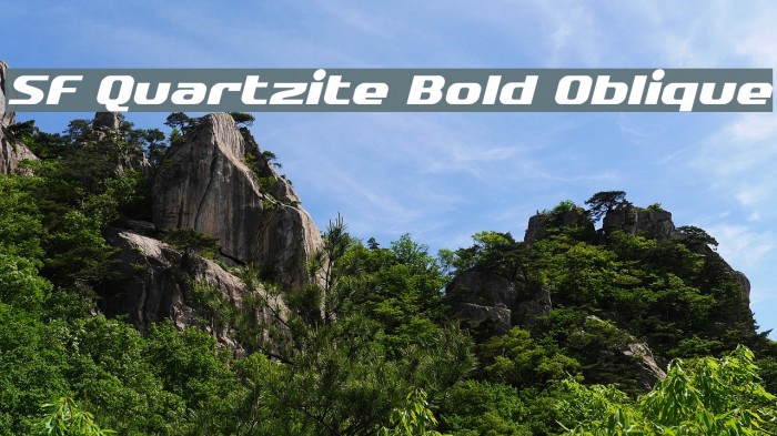 SF Quartzite Bold Oblique Font examples