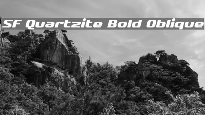 SF Quartzite Bold Oblique Шрифта examples