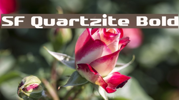 SF Quartzite Bold Fonte examples