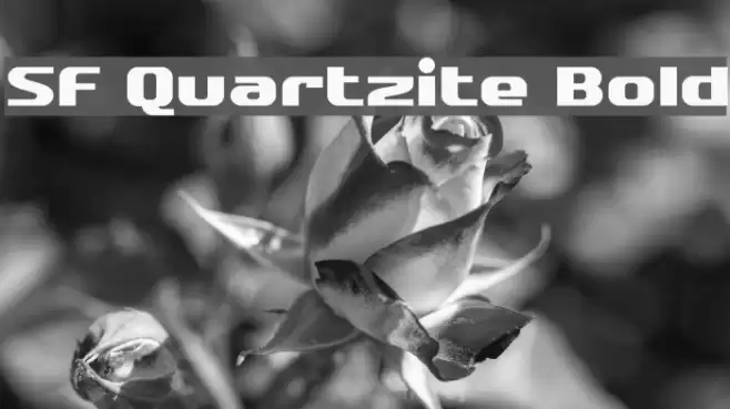 SF Quartzite Bold Fuentes examples