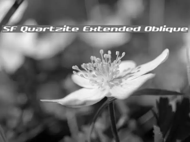 SF Quartzite Extended Oblique Font examples
