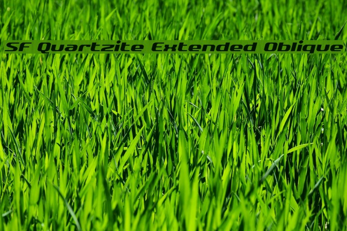 SF Quartzite Extended Oblique Font examples