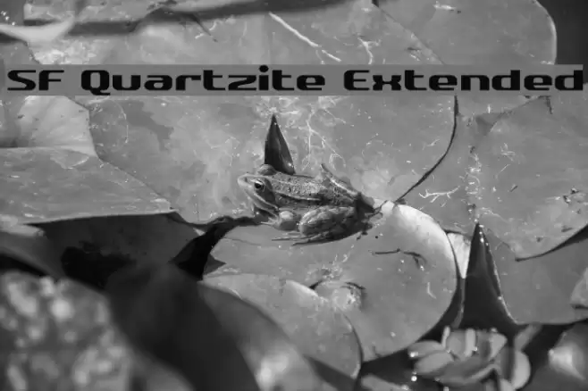 SF Quartzite Extended फ़ॉन्ट examples