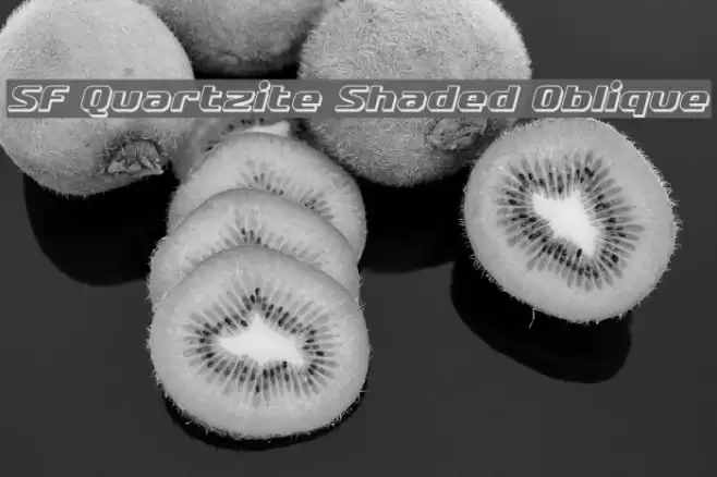 SF Quartzite Shaded Oblique Font examples