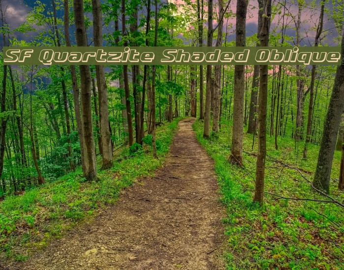 SF Quartzite Shaded Oblique Font examples